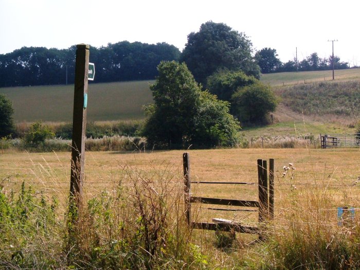 The stile on The Low Road, with the path going up the hill, towards the wood on the brow of the hill