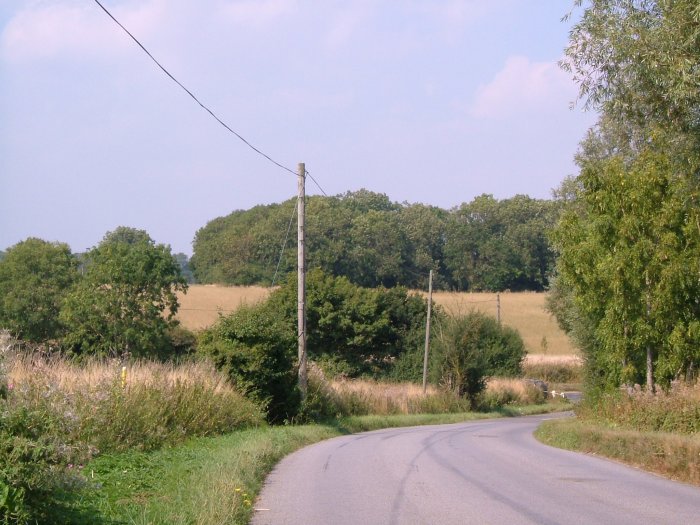 A dink in the Roman Road before continuing up the hill, towards the wood