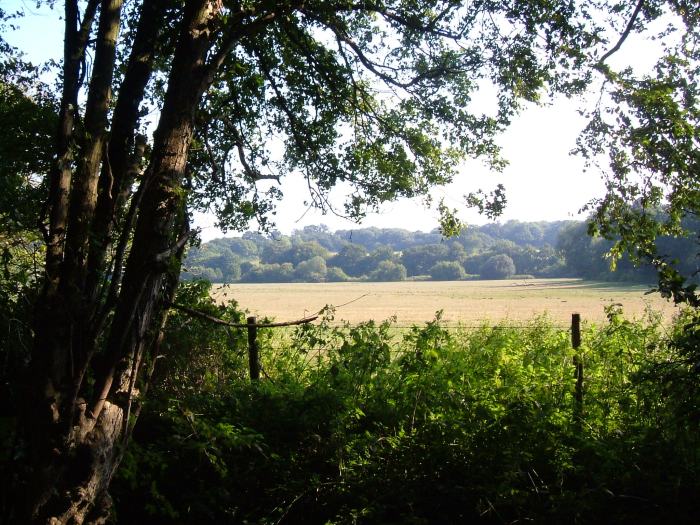 Looking over the meadows beside Ubbeston Woods